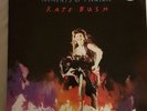 Kate Bush Moments Of Pleasure 12 Inch Limited Edition poster bag