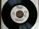 Rare Soul Funk 45 Promo Lorraine Johnson The More I Get The More I Want PRL71096