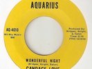CANDACE LOVE Wonderful Night AQUARIUS DETROIT ZTSC  NORTHERN SOUL 45