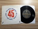 The Apollinaires - Envy the Love 7