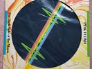 Pink Floyd - The dark side of the moon - Vinyl LP - PICTURE DISC - Rarität