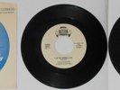 Chris Bell (Big Star) - I Am the Cosmos  U.S. original 1978 7