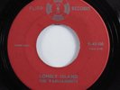 Doo Wop R&B 45 PARLIAMENTS Lonely Island FLIPP HEAR