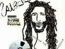 ALBOROSIE - Alborosie Meets Roots Radics: Dub For The Radicals - Vinyl (LP)