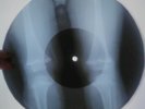 Rolling Stones - Jumpin' Jack Flash X-RAY USSR ROENTGEN Bones Record
