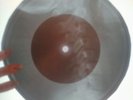 Bob Dylan - Knockin’ on Heaven’s Door X-RAY USSR ROENTGEN Bones Record