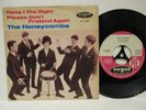 The Honeycombs 7