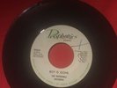 The Incredible Invaders Femme Garage 45 Michigan Prophonics Cecil Washington