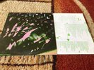 THE PLIMSOULS EVERYWHERE AT ONCE ORG 1983 PRECISION LP INNER NEW WAVE POST PUNK