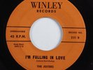 R&B Doo Wop 45 JESTERS I'm Falling In Love WINLEY HEAR