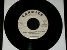 RARE DOO WOP SOUL 45 THE WILDWOODS-WHEN THE SWALLOWS COME BACK CAPRICE ORIG HEAR
