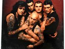 Rose Tattoo – “Scarred for Life” – 1982 – Mirage  90022  FACTORY SEALED 12