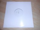 Fatboy Slim vs The Rolling Stones Satisfaction Skank 12