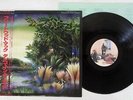 FLEETWOOD MAC TANGO IN THE NIGHT WARNER P-13490 Japan OBI VINYL LP