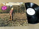 Orig Allman Brothers Brothers and Sisters White Label Promo WLP LP Near Mint NR