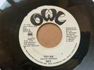 Rare Modern Soul 45   Wee 