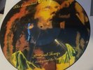 Bob Marley PICTURE DISC the Essential L.p. Wailers Reggae Dub