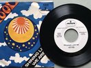 The Fool-We are One-RARE MINT DJ WLP Promo W PS Psych Folk Rock 1969 45 Mercury