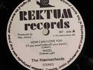 The Haemorrhoids - EP  Rektum Records How Can I Love You - Punk / Post Punk Rare