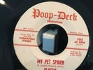FLYGHT 45 Pet Spider / Trifle Cerivia HEAR  RARE TEXAS PSYCH GARAGE POOP-DECK