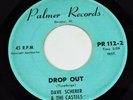 Dave Scherer & The Castels - Drop Out / Hide Behind Your Shadows - Palmer Record