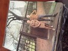 Fairport convention - Unhalfbricking - vinyl LP - island records vg+
