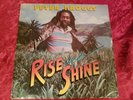 Peter Broggs Rise and Shine Rare Original Roots LP REGGAE Real Authentic Sound ?