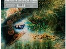 PINK FLOYD - SAUCERFUL OF SECRETS - 1x12