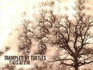 Trampled by Turtles - Duluth