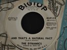 ++RARE++DOO WOP 45 RPM RECORD BY THE DYNAMICS-AND THAT'S A NATURAL FACT/I WANNA