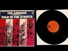 1968 DAVIE ALLAN & ARROWS WILD IN STREETS LP SHAPE OF THINGS TO COME MAX FROST
