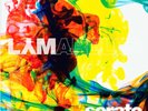 Serato Control Vinyl 7