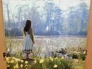 CATHERINE HOWE WHAT A BEAUTIFUL PLACE OG UK STEREO REFLECTION LP REF L11 CLIP