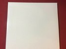 The Beatles-White Album (SEALED) Remastered-from 2012 BOX SET w/ Posters & Pics