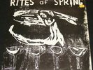 Rites of Spring 1985 1st press  Dischord #16  vintage punk record