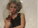 Madonna-BORDERLINE- Shaped Picture Disc QUEEN OF POP MDNA