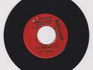 BLANK(BLAKETONE)/ THIS SAME OLD LIFE - ROY PANTON (70 REGGAE ROOTS 7