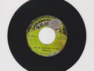 GEMINI/ RISE AND SHINE - SOULITES (71 REGGAE ROOTS 7
