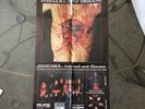Dismember- Indecent And Obscene Poster Very Rare Minty