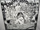 SEPTIC DEATH Now That I Have The Attention LP PUNK ROCK Thrash HARDCORE Pushead