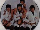 BEATLES: Casualties, Butcher Cover PICTURE DISC SEAX-11950 Vinyl LP ’80 Promo