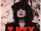 T. Rex - The Slider LP - Get Back Italy Reissue SEALED
