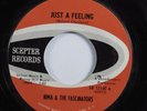 Northern Soul 45 IRMA & THE FASCINATORS Just A Feeling SCEPTER HEAR