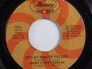 Northern Soul 45 SANDY & THE PEBBLES He's My Kind Of Fellow MERCURY HEAR