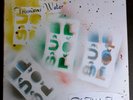 Trumans Water 'Of Thick Tum' NM Vinyl LP Record Indie Art Rock RARE Handmade