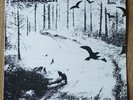 HVIS LYSET TAR OSS, Helion Records (Mayhem, Darkthrone)