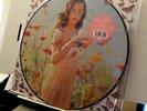 rare KATY PERRY prism RSD 2014 PICTURE DISC VINYL 2-LP SET  lady gaga adele pink