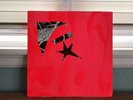 Animal Collective lp Hollinndagain St Ives 1st press rare 300 made panda avey NM