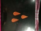 AFI The Blood Album Vinyl Special Edition Orange
