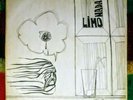LIMONADA URUGUAY LP CANDOMBE BEAT PSYCH El Kinto OG SONDOR 1970